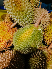 Ripe durian fruit ready to eat is being sold on the street for sale
