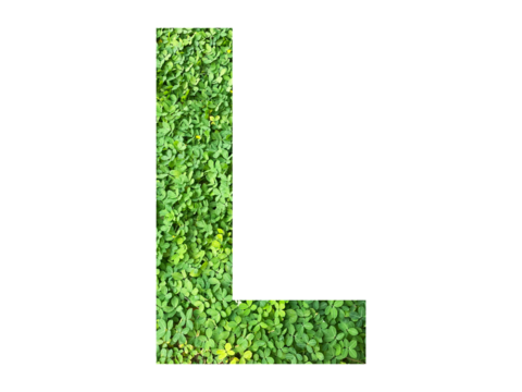L shape made from green grass isolated on transparent background, suitable for template go green concept, PNG