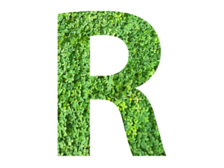 R shape made from green grass isolated on transparent background, suitable for template go green concept, PNG