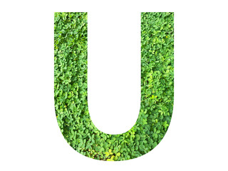 U shape made from green grass isolated on transparent background, suitable for template go green...
