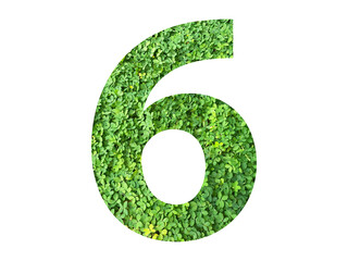 The shape of the number 6 is made of green grass isolated on transparent background. Go green...