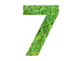 The shape of the number 7 is made of green grass isolated on transparent background. Go green concept.