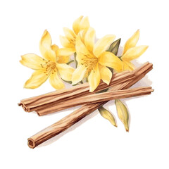 Watercolor dried vanilla sticks and vanilla flowers for card decor on white background