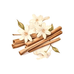 Watercolor dried vanilla sticks and vanilla flowers for card decor on white background