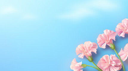 pink flowers on blue background HD 8K wallpaper Stock Photographic Image 