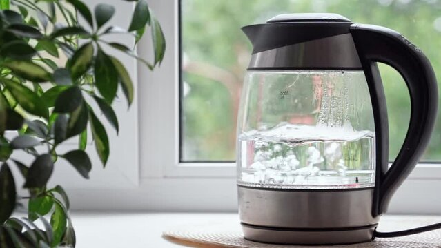 water boils  in a glass kettle

