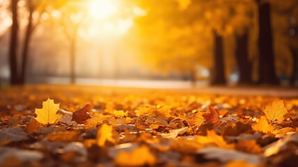 Naklejka na ściany i meble Beautiful autumn landscape with yellow leaves and sun