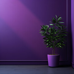 purple wall background with shadow on wall