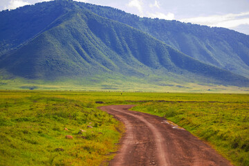 Ngorongoro National Park Wildlife in Africa