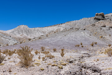 Traveling the famous Ruta40 in the scenic Argentinian highlands - fantastic views while driving through colorful and remarkably shaped mountains and watching wildlife in high altitude in South America