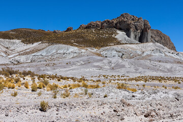 Traveling the famous Ruta40 in the scenic Argentinian highlands - fantastic views while driving through colorful and remarkably shaped mountains and watching wildlife in high altitude in South America