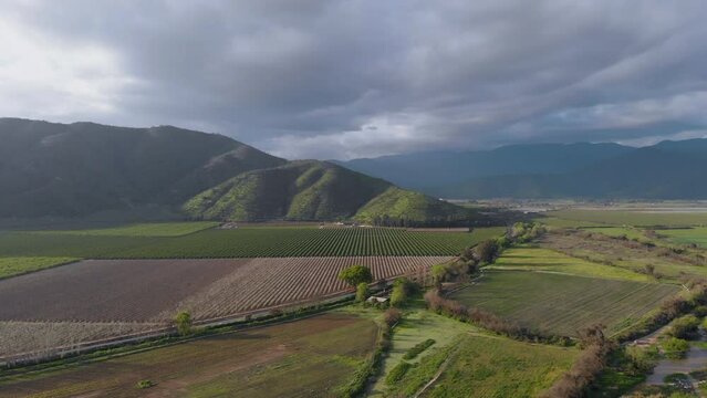 Vista aerea siembra en un campo