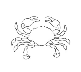 Vector isolated crab with claws top view symmetrical drawing © MariMuz