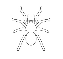 Vector isolated symmetrical tarantula spider contour line drawing stencil
