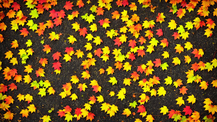 Autumn's Mosaic: A Symphony of Falling Leaves