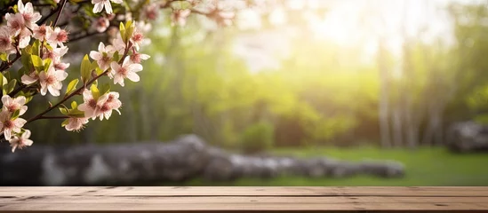 Fotobehang Springtime garden with wooden table © Vusal