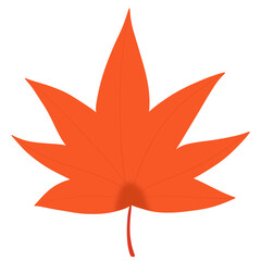 red maple leaf