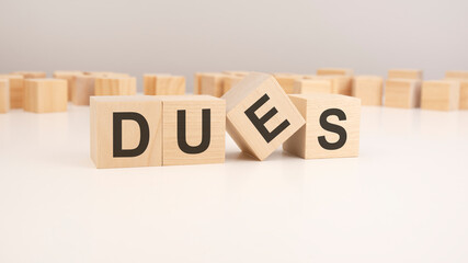 selective focus. word DUES is written on a wooden cubes structure. blocks on a bright background. can be used for business and financial concept.