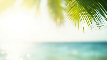 Fototapeta na wymiar Blur beautiful nature green palm leaf on tropical beach with bokeh sun light wave abstract background.