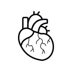 Vector outline of human heart