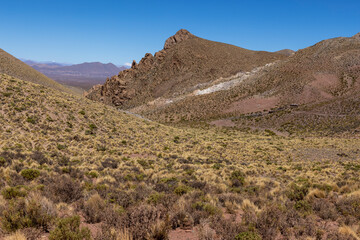 Traveling the famous Ruta40 in the scenic Argentinian highlands - fantastic views while driving through colorful and remarkably shaped mountains and watching wildlife in high altitude in South America