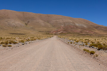 Traveling the famous Ruta40 in the scenic Argentinian highlands - fantastic views while driving through colorful and remarkably shaped mountains and watching wildlife in high altitude in South America