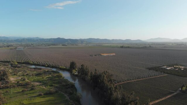 Paisaje de plantacion en un campo