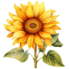 Sunflowers Watercolor Painting: Vibrant Floral Art for Home Decor