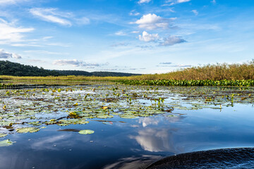 Canoe tour on the Pantanal Marimbus in Andarai, Bahia, Brazil, Chapada Diamantina