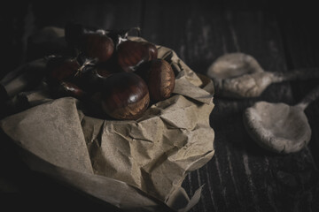 Chestnut Photography