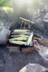 high view of 6 organic corn in the shell roasting on a wood fire