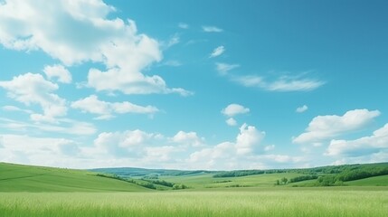 Fototapeta na wymiar a beautiful cloudy blue sky with green field