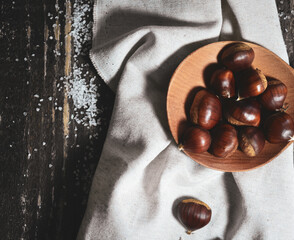 Chestnut Photography