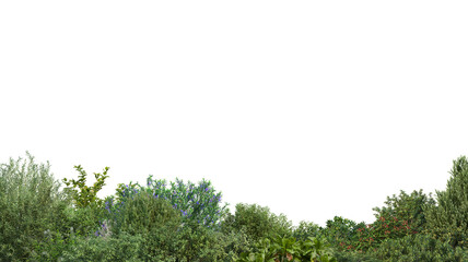 Fototapeta premium Foreground of various shrubs and flowers on transparent background 