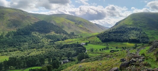 Lake District National park mountain landscape on a cloudy day and flora including Lichen