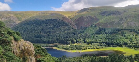 Lake District National park mountain landscape on a cloudy day and flora including Lichen