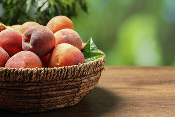 Many whole fresh ripe peaches in basket on wooden table against blurred background, closeup. Space for text