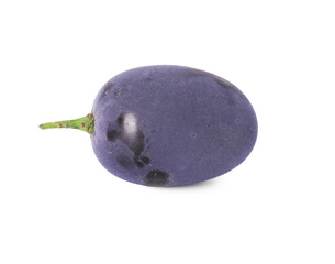 One ripe dark blue grape isolated on white