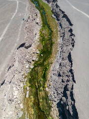 Salado River near Calama in the north of Chile - a crack with fresh water, lush green vegetation and even trouts crossing the otherwise bone dry Atacama desert - what a spectacular surprise by nature
