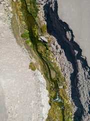 Salado River near Calama in the north of Chile - a crack with fresh water, lush green vegetation and even trouts crossing the otherwise bone dry Atacama desert - what a spectacular surprise by nature
