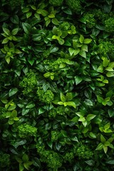 Obraz premium A close-up view of a bunch of vibrant green plants. Perfect for adding a touch of nature to any project or design
