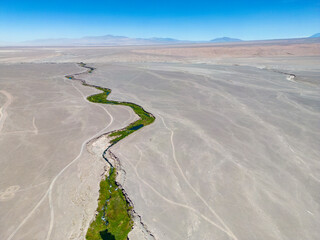 Salado River near Calama in the north of Chile - a crack with fresh water, lush green vegetation...