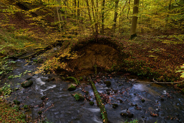 Jesień. Kolory jesieni. Bukowy las w złocie i czerwieni. Rzeczka, wartki strumień i omszałe kamienie.