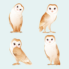 Set of cute barn owl with white face and brown wings. Cartoon flat vector illustration 