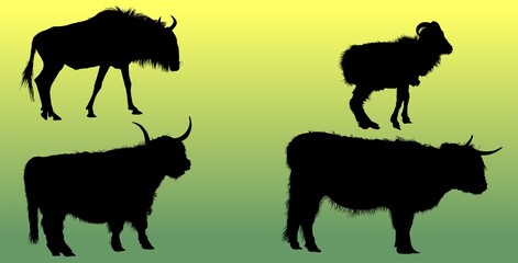 silueta, animal, vaca, chacras, vector, cerdo, ilustración, borregos, toro,