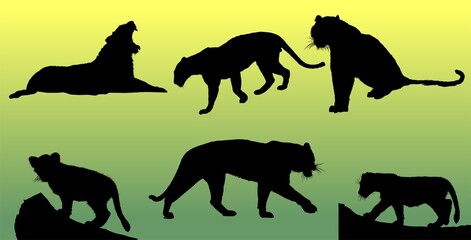 leones, silueta, animal, caballo, vector, animal