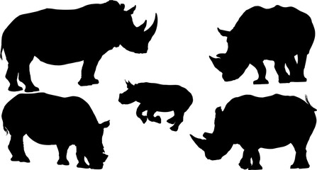 animal, silueta, rinocerontes