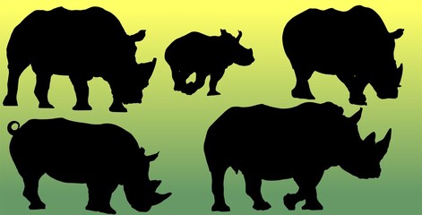 silueta, animal, rinocerontes