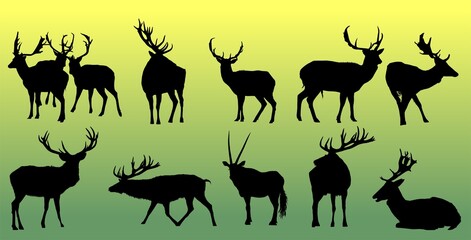 ciervo, animal, silueta, vector