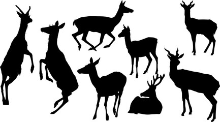 ciervo, animal, silueta, vector